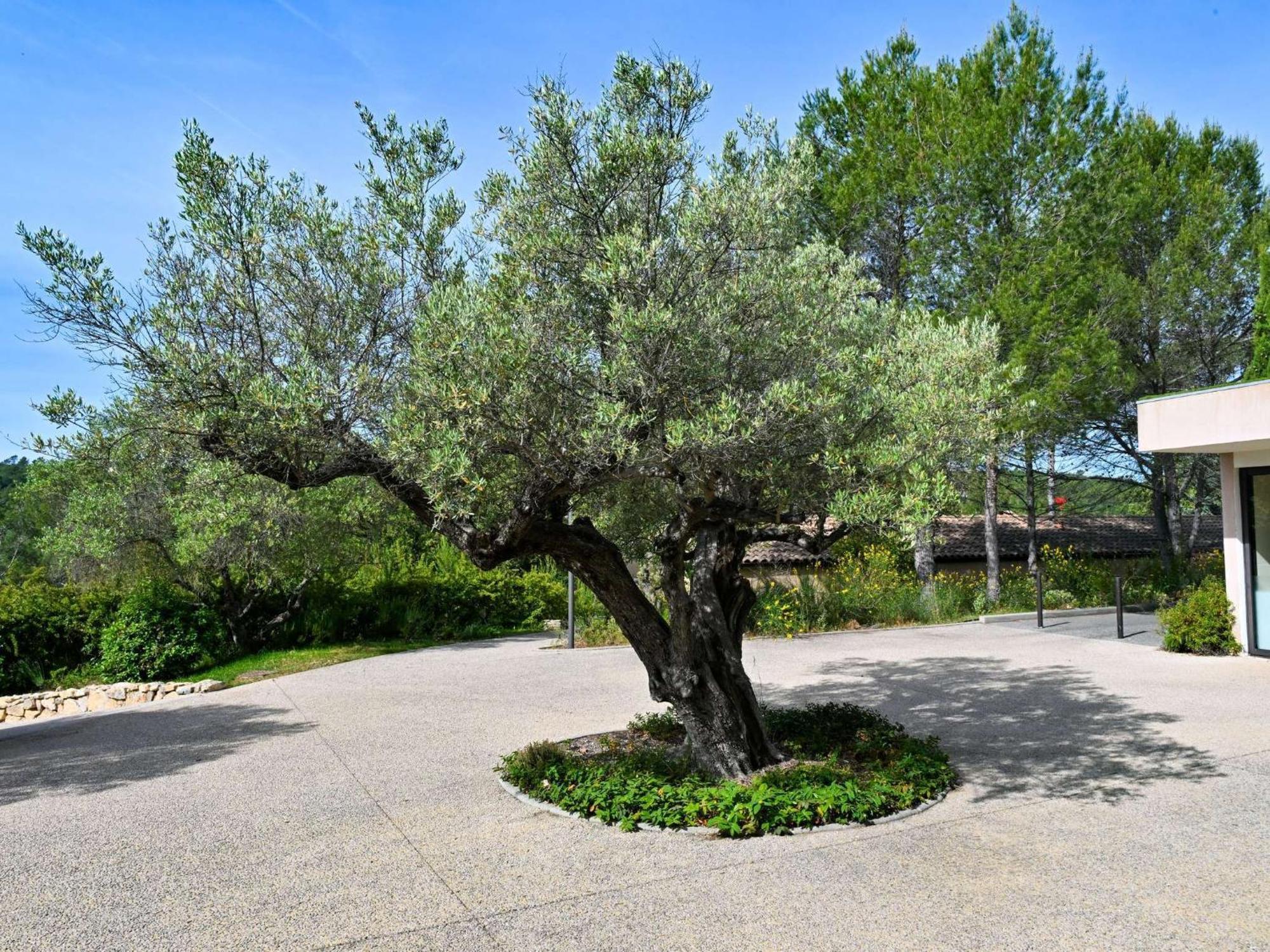 Mercure Brignoles Golf De Barbaroux & Spa Buitenkant foto